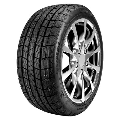 Centara Winter RX621